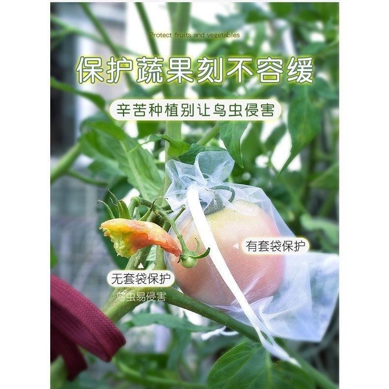 【雙拉繩紗袋-小號單入】水果套袋 紗網袋 雪紗網 防蟲網袋 水果網袋 紗袋 套袋 整理袋 雪紗袋 婚禮 防蟲網 防蟲袋-細節圖5