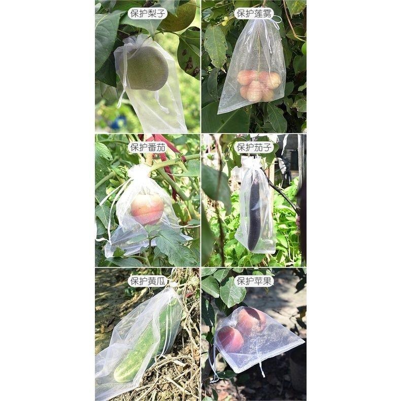 【雙拉繩紗袋-小號單入】水果套袋 紗網袋 雪紗網 防蟲網袋 水果網袋 紗袋 套袋 整理袋 雪紗袋 婚禮 防蟲網 防蟲袋-細節圖8