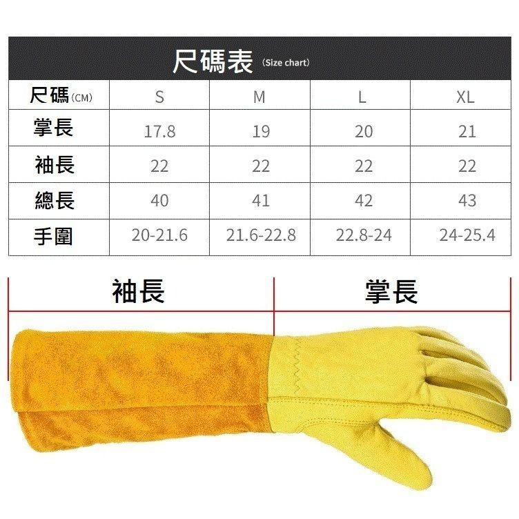 【牛皮手套／1雙入】防刺手套 玫瑰 火龍果 專業園藝 修剪 摘剝 仙人掌 防刺 防扎手套 防刺 防扎-細節圖2