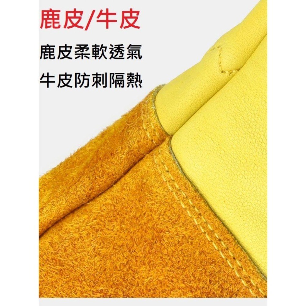 【牛皮手套／1雙入】防刺手套 玫瑰 火龍果 專業園藝 修剪 摘剝 仙人掌 防刺 防扎手套 防刺 防扎-細節圖8