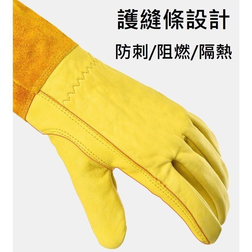 【牛皮手套／1雙入】防刺手套 玫瑰 火龍果 專業園藝 修剪 摘剝 仙人掌 防刺 防扎手套 防刺 防扎-細節圖9