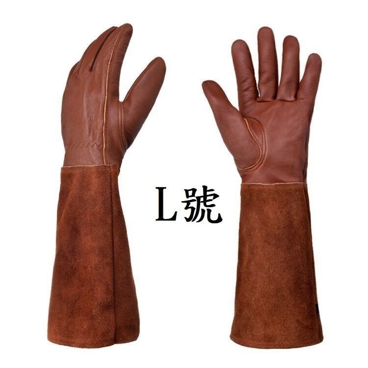 A款，咖啡色，L號
