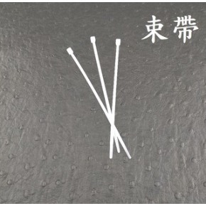台中現貨【組合衣櫃-零配件】有整組可選購 DIY 組合鞋櫃 組合置物架 組合衣櫥 收納櫃 組合櫃 書櫃 置物櫃-束帶6條