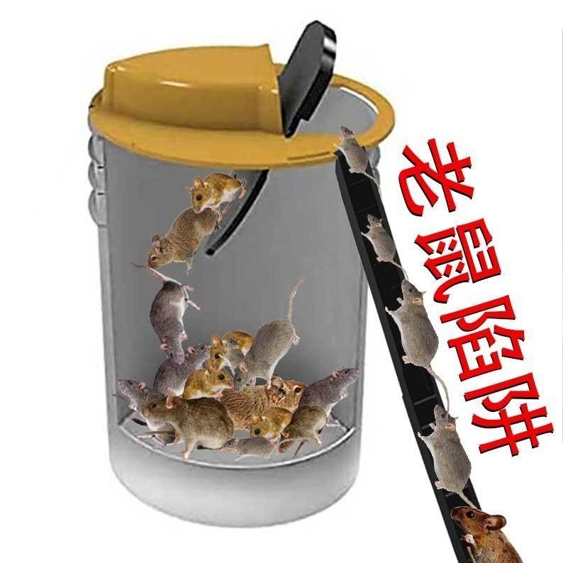 【翻蓋式捕鼠器】超商/蝦皮最多1組含桶子 老鼠 陷阱 捕鼠蹺蹺板 捕鼠器 捕鼠神器 抓老鼠神器-細節圖3