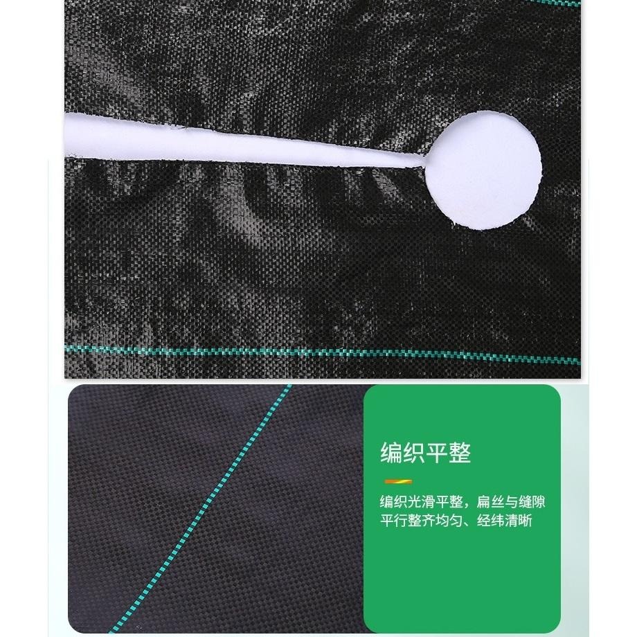 【打孔防草布】果樹 除草布 果園 蓋布 園林 防草地布 遮草布 除草布 園藝 切片草布 雜草蓆-細節圖2