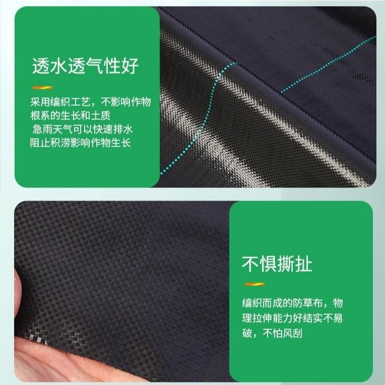 【打孔防草布】果樹 除草布 果園 蓋布 園林 防草地布 遮草布 除草布 園藝 切片草布 雜草蓆-細節圖3