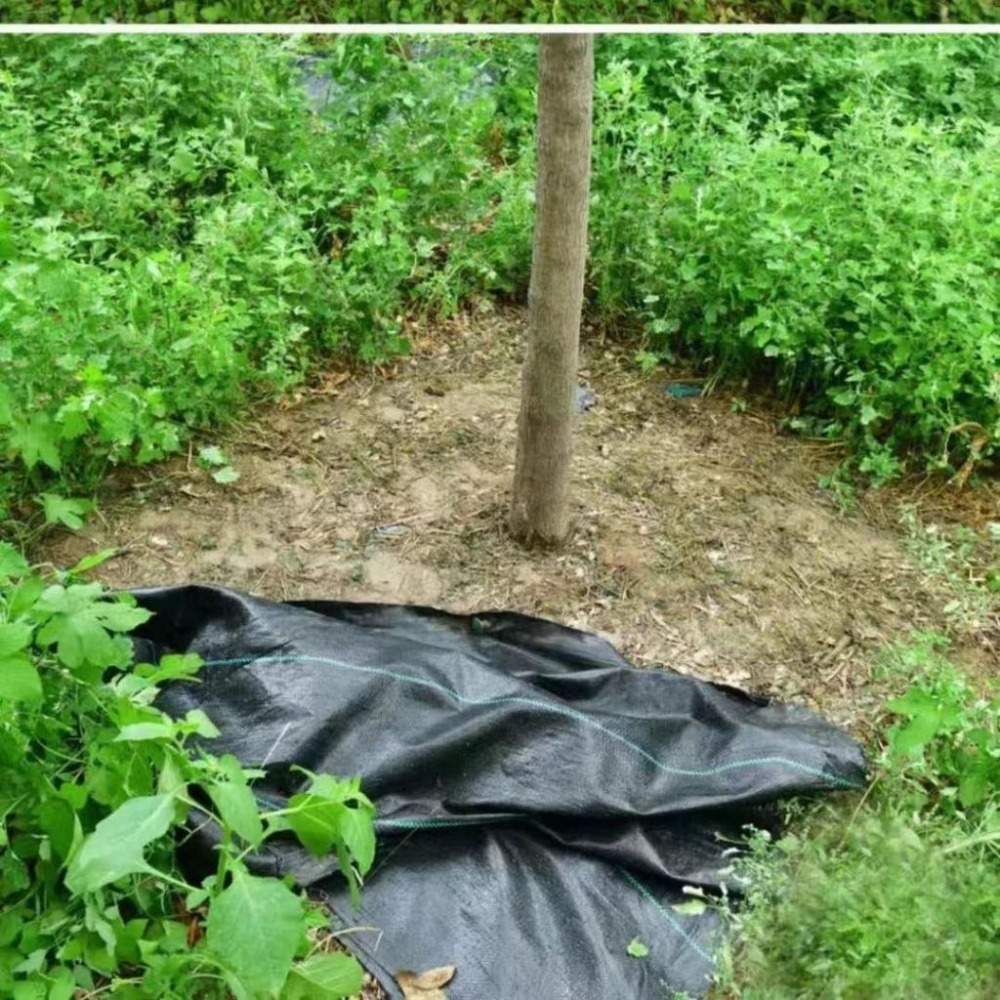 【打孔防草布】果樹 除草布 果園 蓋布 園林 防草地布 遮草布 除草布 園藝 切片草布 雜草蓆-細節圖8