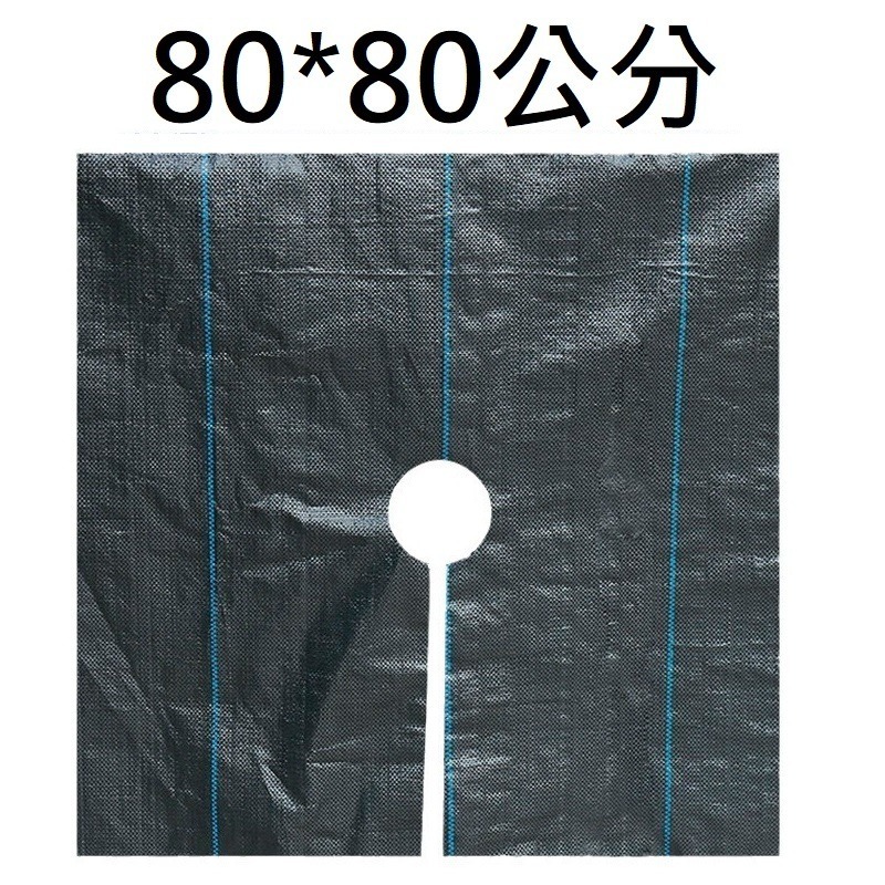 80*80公分，1片，滿9片送1片
