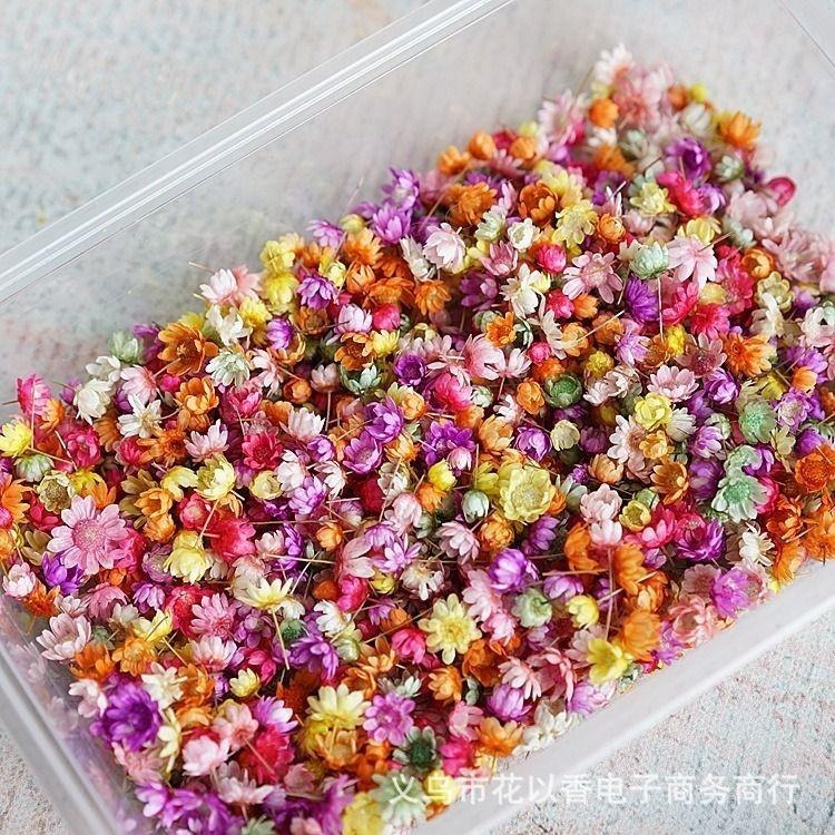 【小星花】2克/約140顆 DIY 花頭 小花 彩色小花 水晶滴晶 永生花 乾燥花小星花 花材-細節圖2