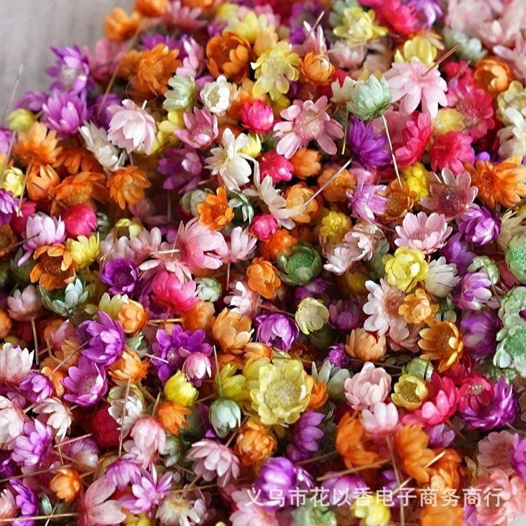【小星花】2克/約140顆 DIY 花頭 小花 彩色小花 水晶滴晶 永生花 乾燥花小星花 花材-細節圖3
