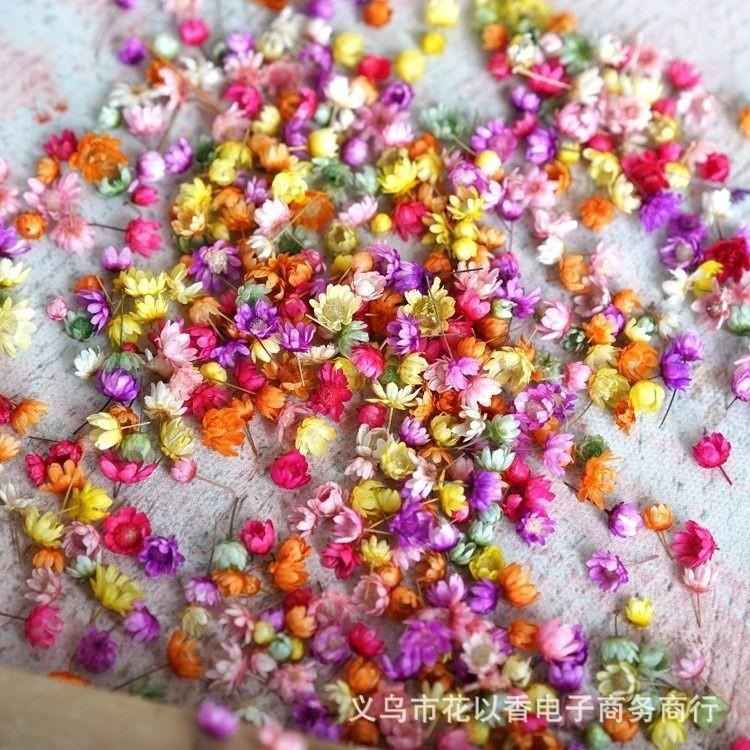 【小星花】2克/約140顆 DIY 花頭 小花 彩色小花 水晶滴晶 永生花 乾燥花小星花 花材-細節圖4