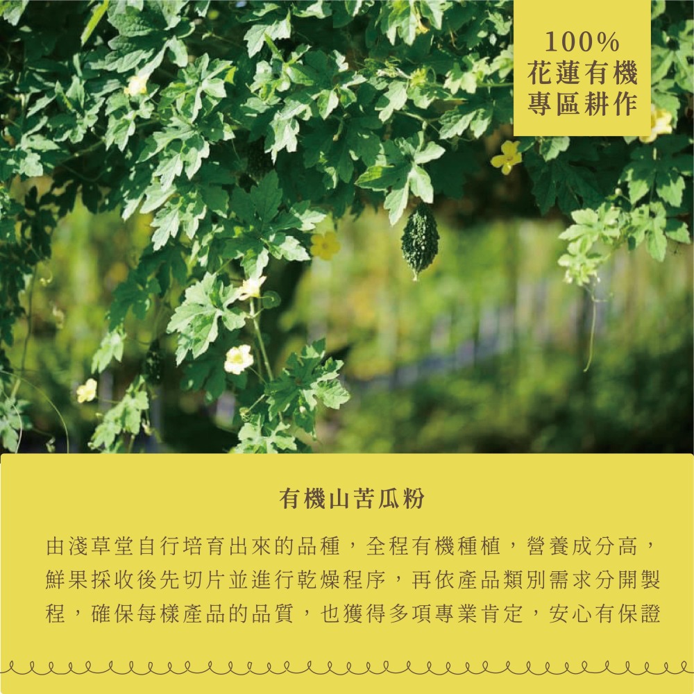 〘淺草堂官方直營店〙有機山苦瓜粉｜🔺100g/易開罐｜神農獎得獎商品｜銷售冠軍🏆-細節圖6