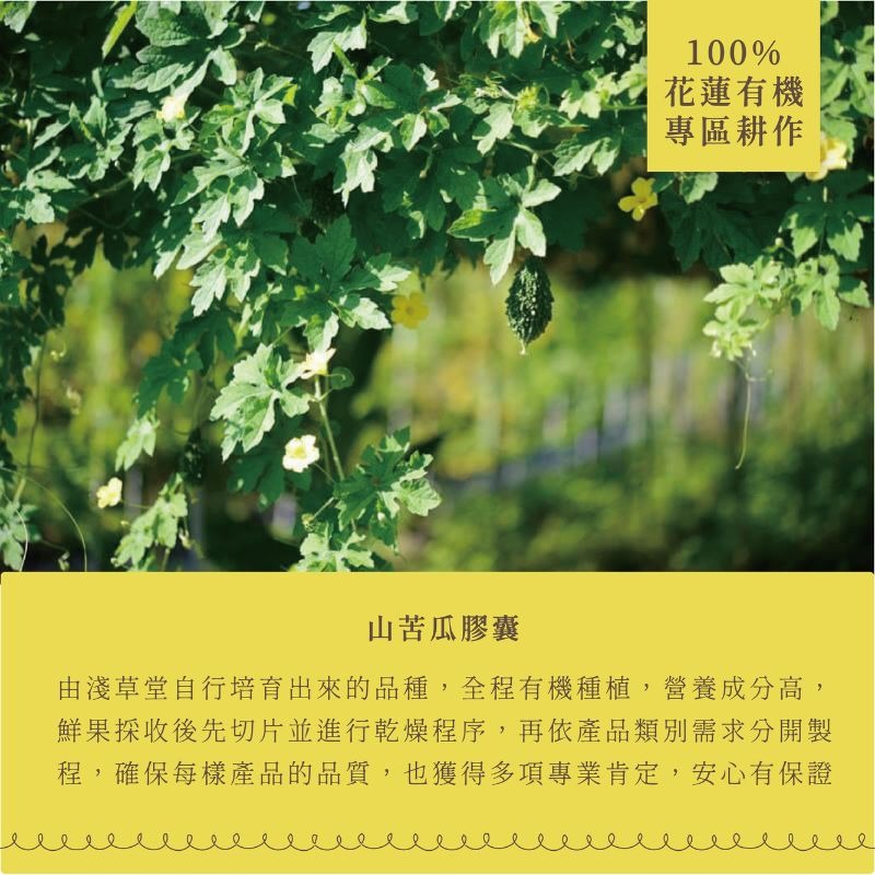 〘淺草堂直營店〙山苦瓜膠囊|🔺120粒｜神農獎得獎商品｜銷售冠軍🏆-細節圖5