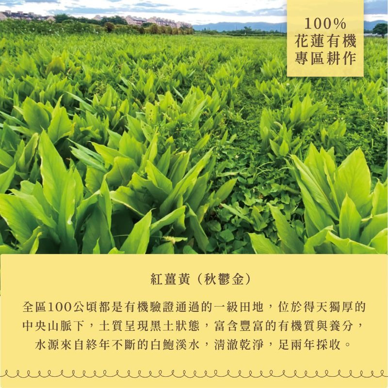 〘淺草堂直營店〙有機紅薑黃粉｜🔺100g易開罐裝｜純天然無添加✨-細節圖5
