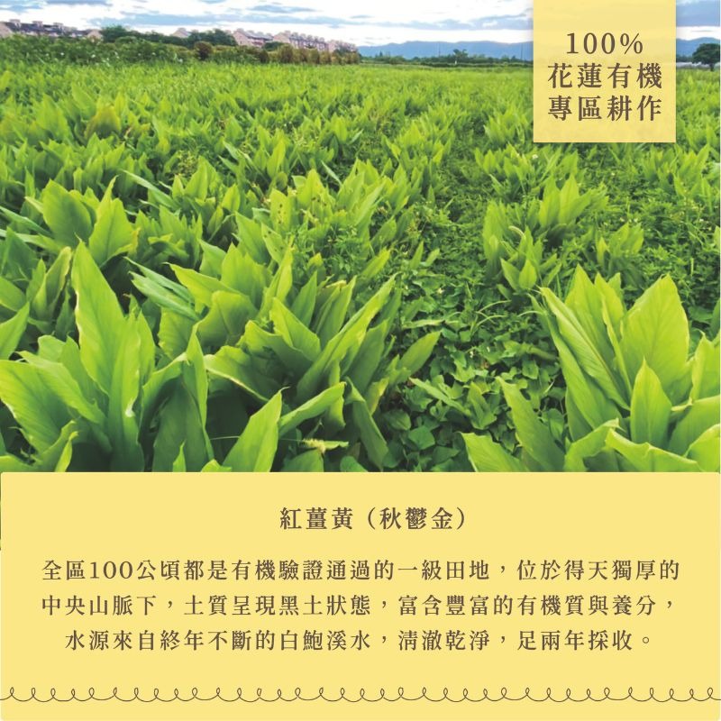 〘淺草堂直營店〙有機紅薑黃粉｜🔺100g玻璃罐裝｜｜純天然無添加✨-細節圖6
