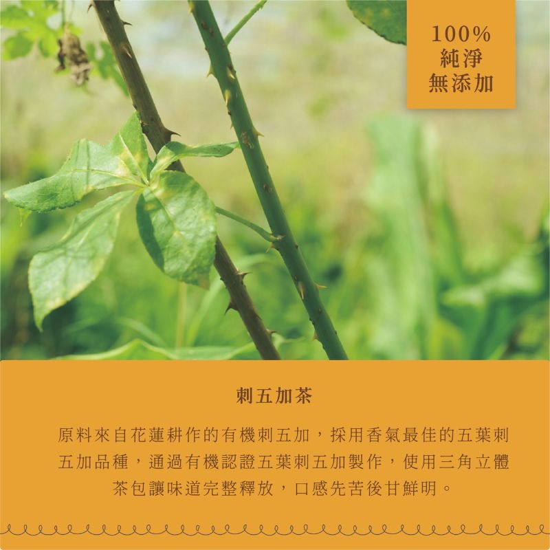 〘淺草堂直營店〙有機刺五加茶｜🔺18入/組合裝｜純天然無添加✨-細節圖3