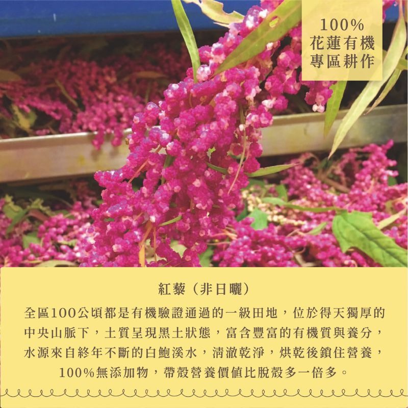 〘淺草堂直營店〙有機紅藜|🔺130g/瓶裝｜純天然無添加✨｜養生飯首選🍚-細節圖3