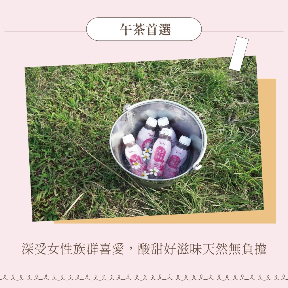 〘淺草堂官方直營店〙洛神香草茶飲料｜🔺6入/手提裝｜純天然無添加✨｜午茶首選-細節圖2