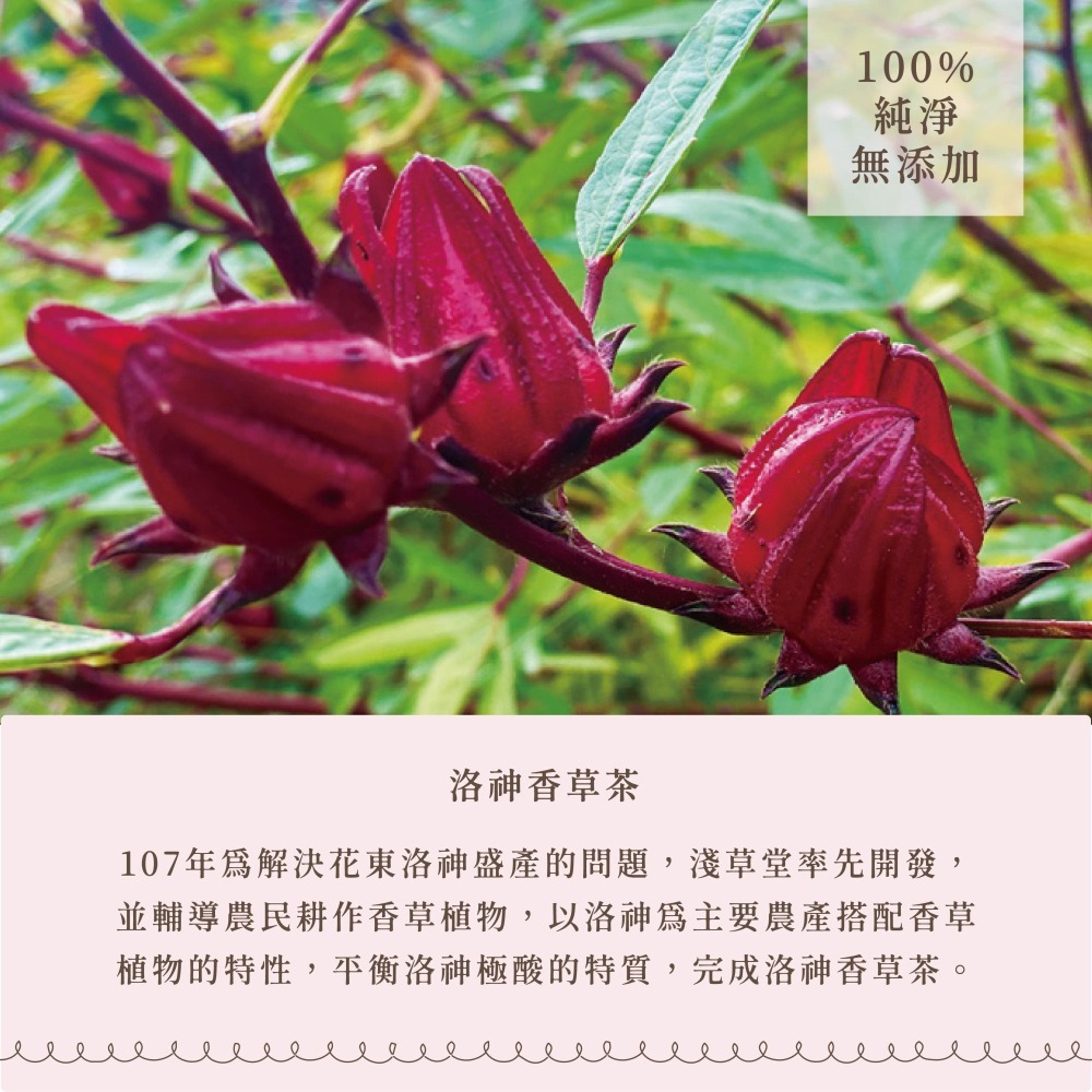 〘淺草堂官方直營店〙洛神香草茶飲料｜🔺6入/手提裝｜純天然無添加✨｜午茶首選-細節圖3