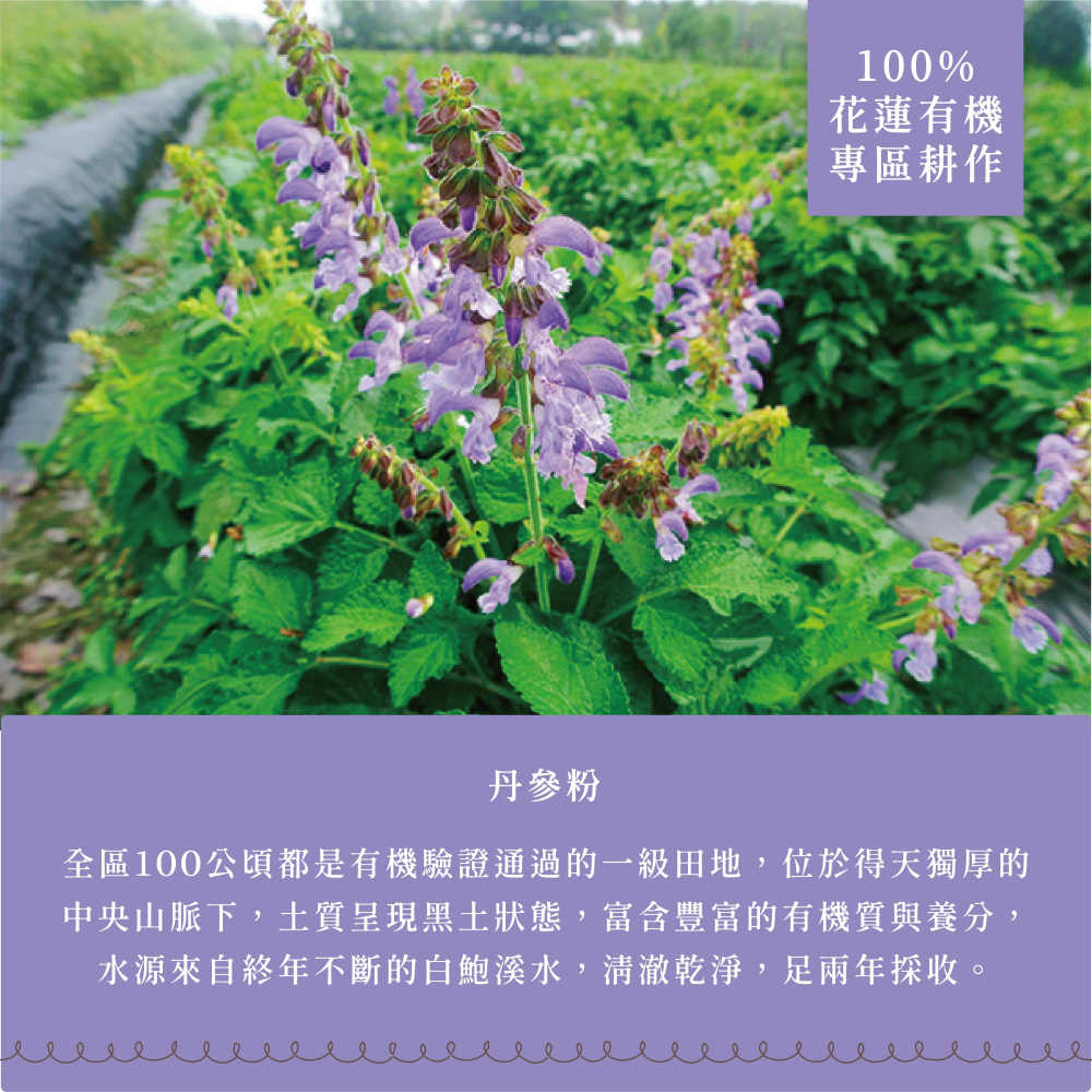 〘淺草堂直營店〙有機丹參粉｜🔺100g易開罐裝｜限量販售✨-細節圖3