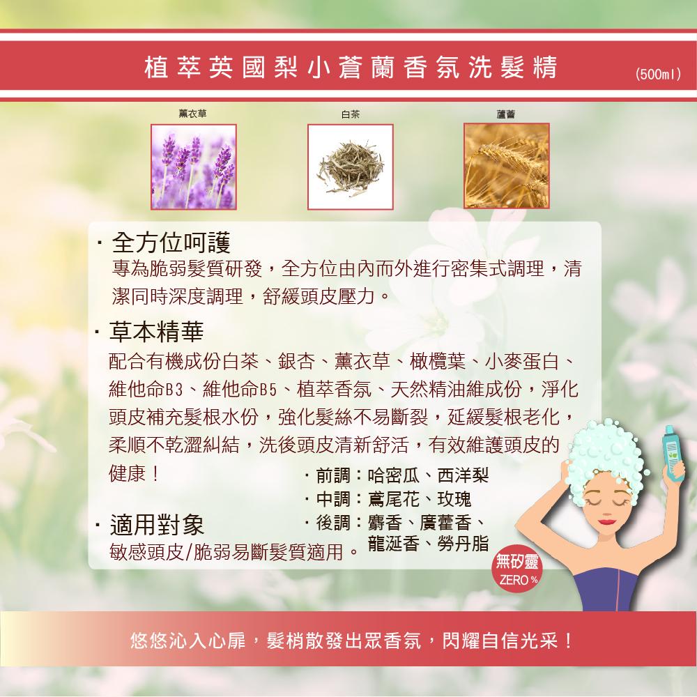 Le Pichet 髮職人洗髮精500ml/沐浴膠750ml 洗髮露 沐浴膠 洗髮精 沐浴乳 香氛洗髮精 香氛沐浴膠-細節圖2