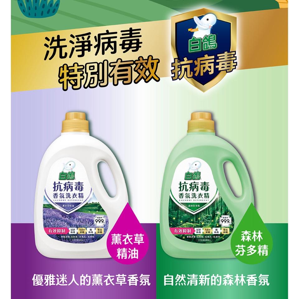 白鴿 天然濃縮抗菌洗衣精 瓶裝 補充包 抗病毒洗衣精 天然手洗精 尤加利防螨 棉花籽護纖 小蒼蘭 茉莉麝香 薰衣草-細節圖2