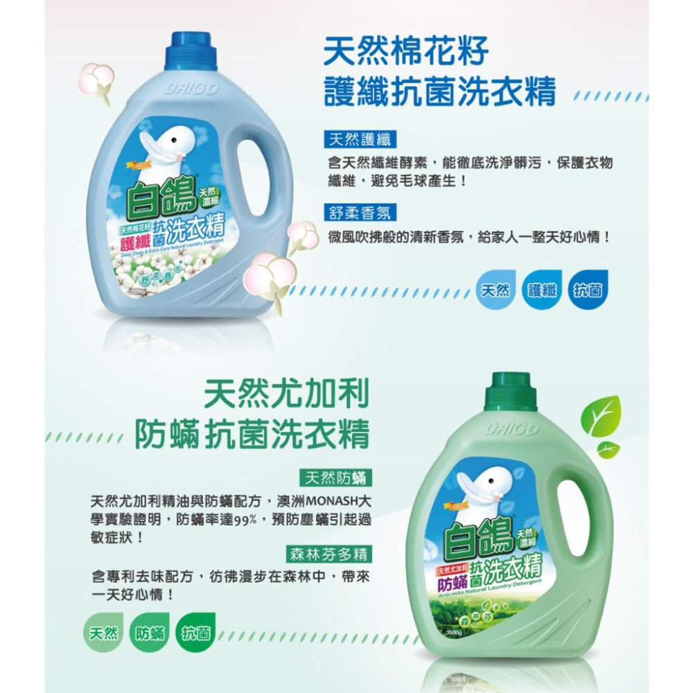 白鴿 天然濃縮抗菌洗衣精 瓶裝 補充包 抗病毒洗衣精 天然手洗精 尤加利防螨 棉花籽護纖 小蒼蘭 茉莉麝香 薰衣草-細節圖4