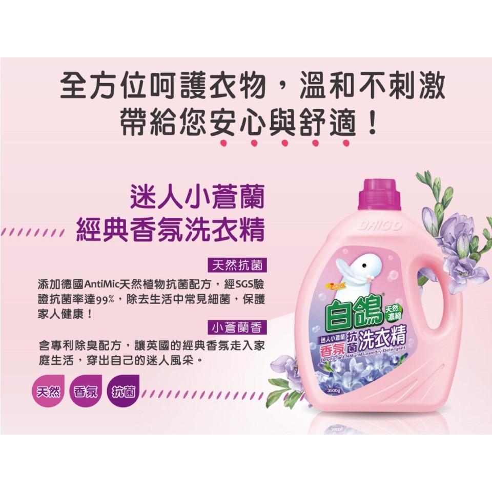 白鴿 天然濃縮抗菌洗衣精 瓶裝 補充包 抗病毒洗衣精 天然手洗精 尤加利防螨 棉花籽護纖 小蒼蘭 茉莉麝香 薰衣草-細節圖5