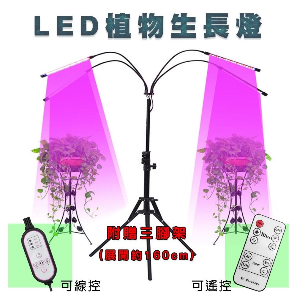 LED植物生長燈 A餐 植物燈 三腳架植物燈 落地摺疊式 全光譜 可遙控 線控 多肉燈 可調光植物燈 360度萬向夾-細節圖3