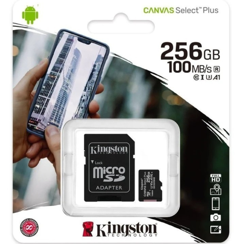 『儲存玩家』金士頓 Kingston microSDXC 256GB 記憶卡(SDCS2/256GB)