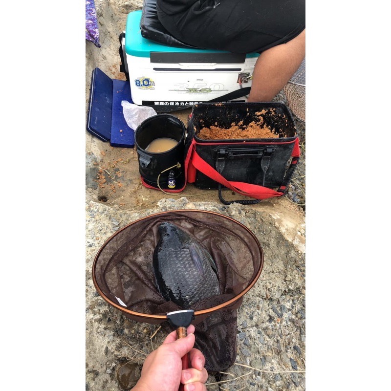[唬唬生瘋官方直營店]唬小蝦粉 究極蝦粉 冷凍餌 專用 釣蝦/海釣場醃餌-細節圖4