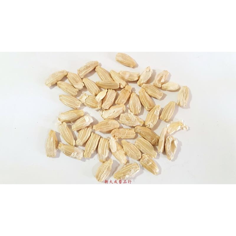 葫蘆種子 葫蘆籽 葫蘆 高度5-30cm葫蘆 1包10顆 蒲瓜 文玩葫蘆 觀賞 遮陽-細節圖5