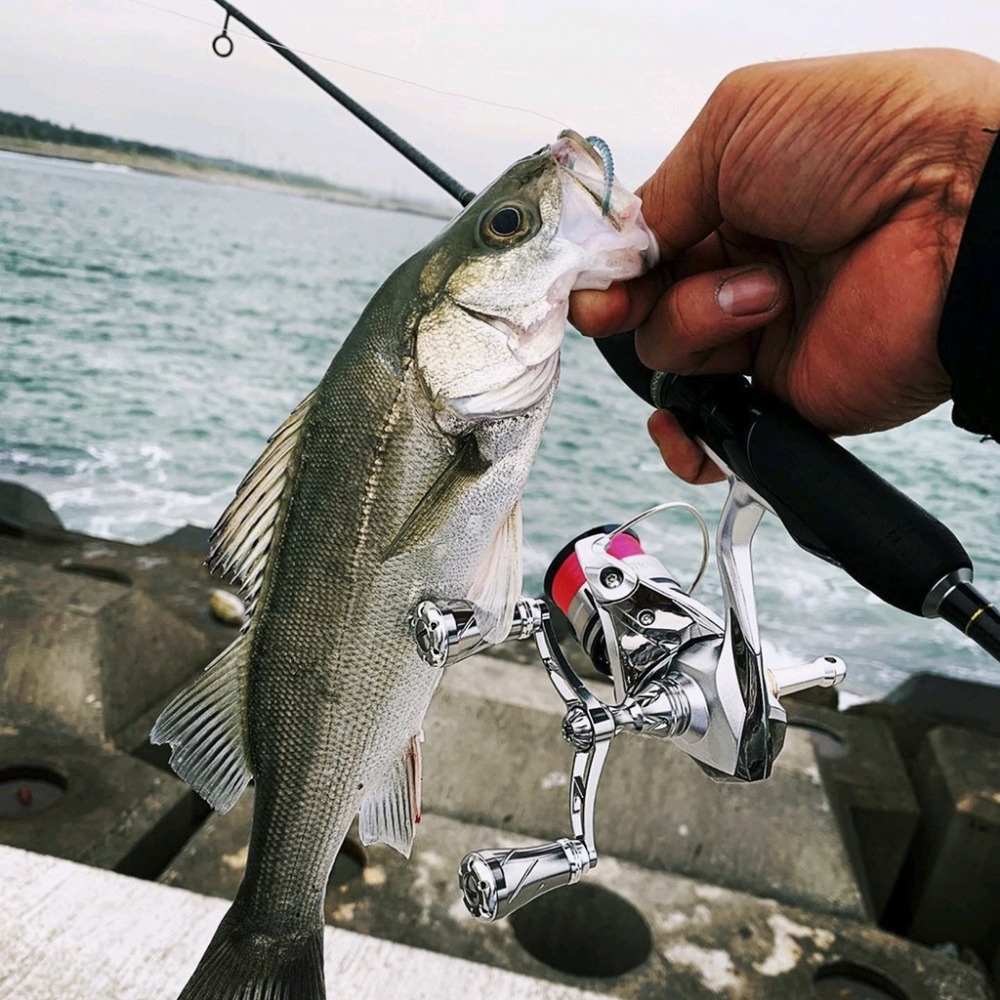 【🔥Gomexus 改裝配件】小烏龜 水滴輪 金屬雙把手搖臂 適用 shimano daiwa 捲線器-細節圖7