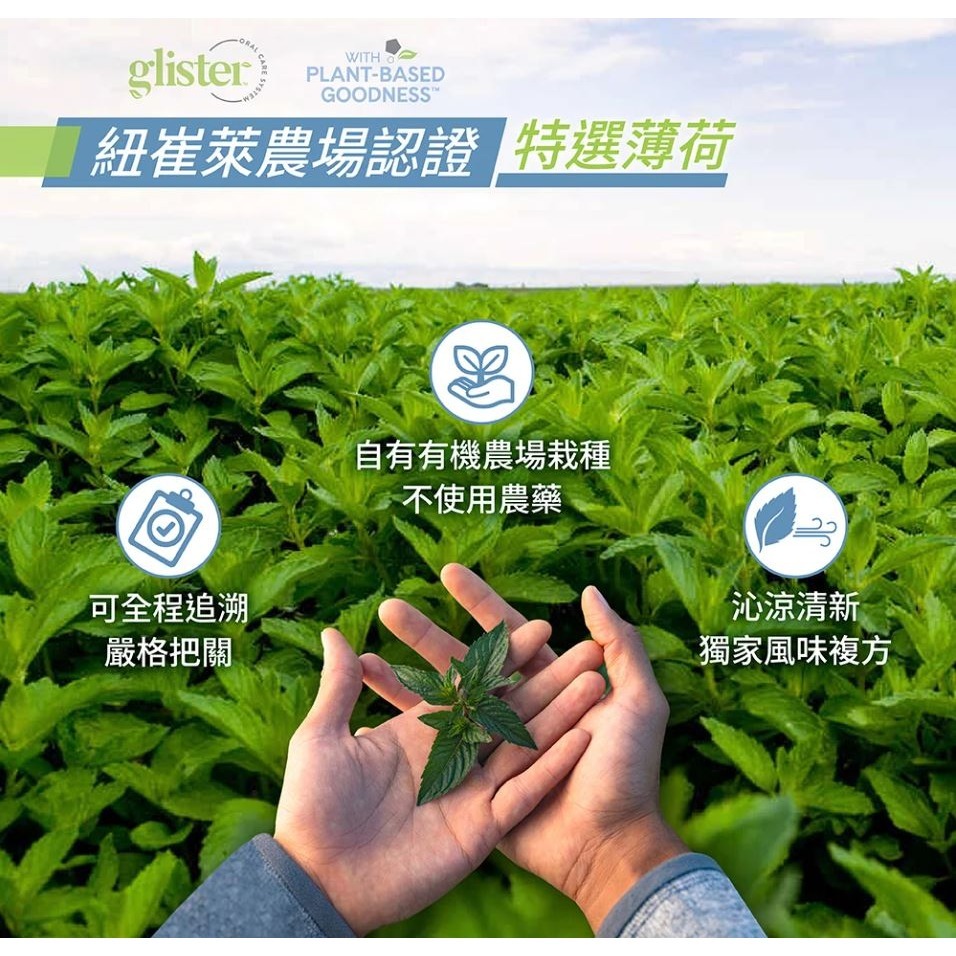 [ Amway 安麗 ] glister 多效氟潔牙膏 薄荷口味-細節圖3
