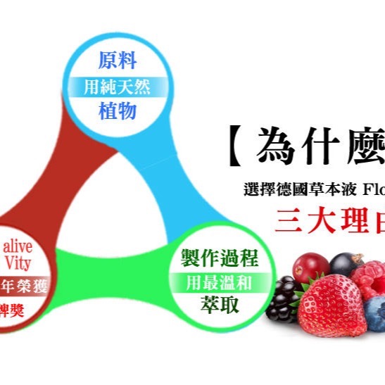 鐵元草本滋補液__-德國原裝天然植物鐵劑 Floradix 250ml-細節圖2