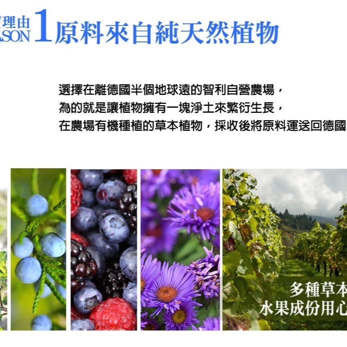 鐵元草本滋補液__-德國原裝天然植物鐵劑 Floradix 250ml-細節圖4