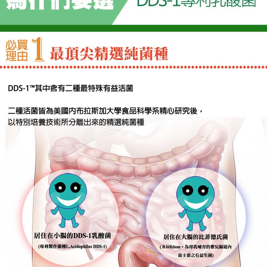 DDS-1專利乳酸菌(天然有機蔬果培植，保證每公克含活菌220億)-細節圖5