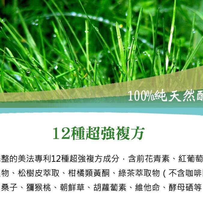 康式普拿-美法複方專利OPCs(60錠) /純天然配方、無咖啡因、青春美麗、健康維持-細節圖6