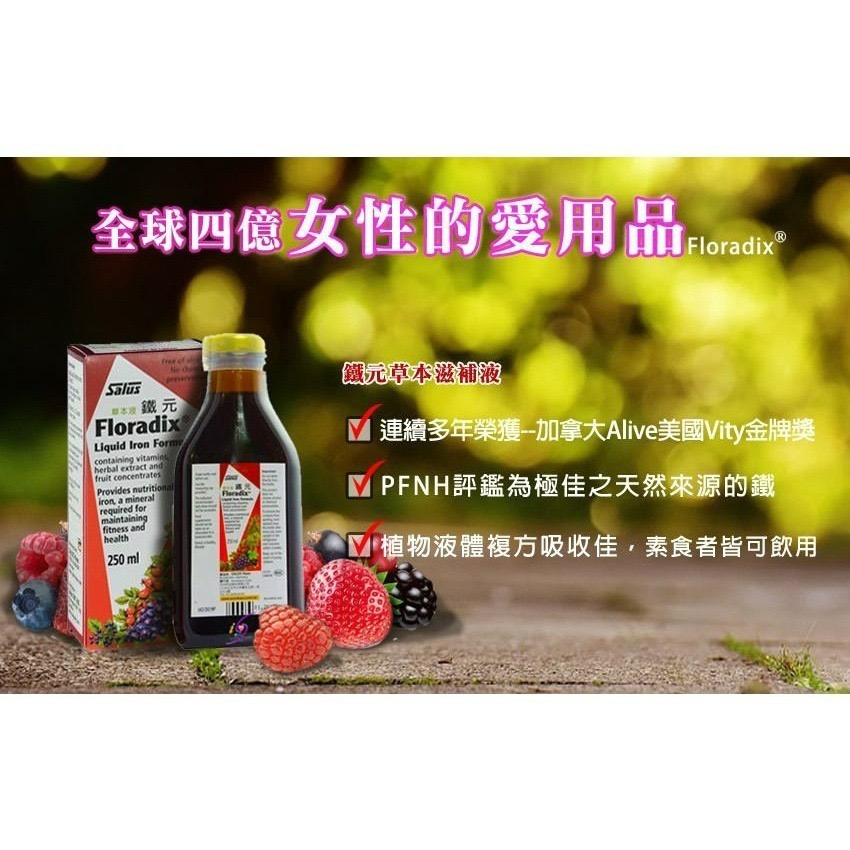 鐵元草本滋補液－－－天然鐵劑Floradix 250ml 六瓶優惠組(臺灣版德國原裝植物鐵劑)-細節圖2