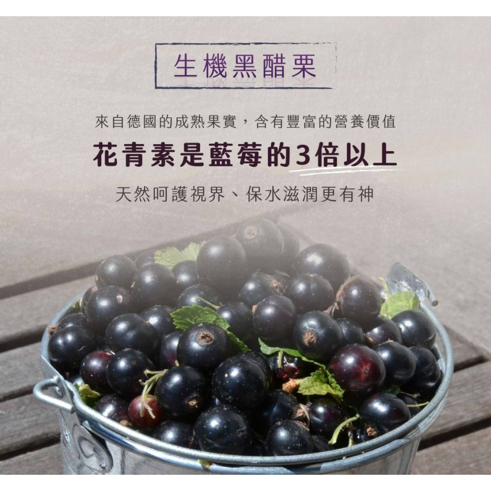 德國【維可Voelkel】生機黑醋栗汁(330ml)無糖 100%原裝進口，歐洲最大生機果汁廠-細節圖3