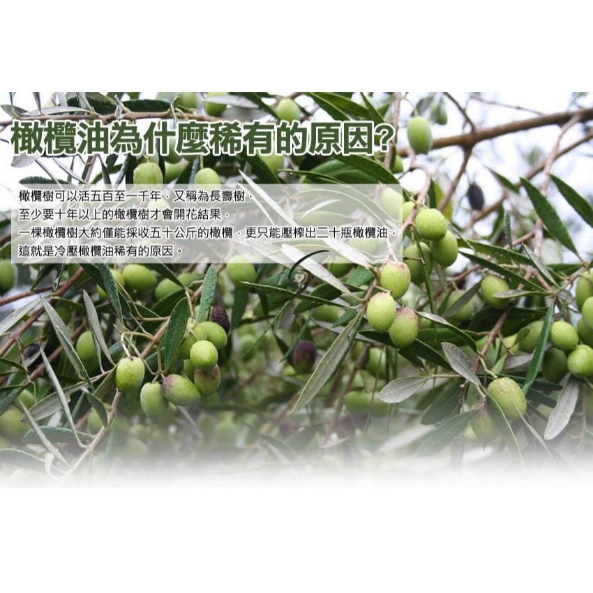 永健 佳仕達 第一道冷壓頂級橄欖油特惠組(買2送1共3瓶)-細節圖2