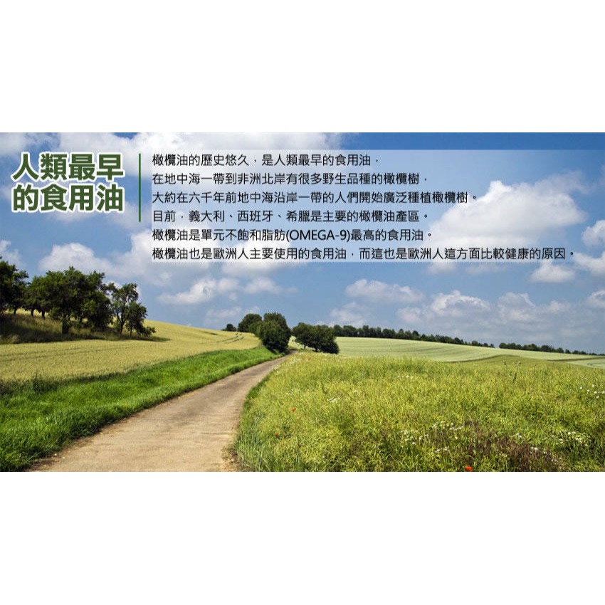 永健 佳仕達 第一道冷壓頂級橄欖油特惠組(買2送1共3瓶)-細節圖6