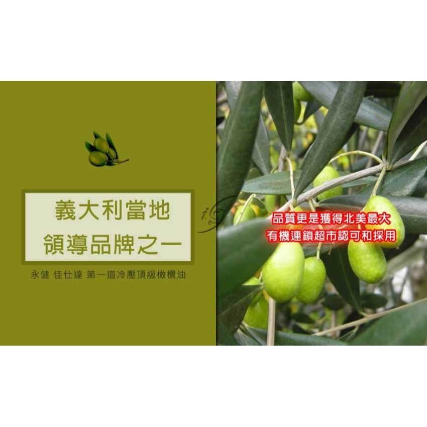 永健 佳仕達 第一道冷壓頂級橄欖油特惠組(買2送1共3瓶)-細節圖7