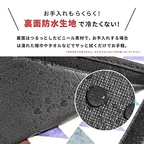 【寶寶王國】 日本 GENIAL 便攜式野餐墊 休閒墊 防水墊 戶外 地墊 野餐墊-細節圖4