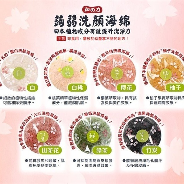 【寶寶王國】日本製【山本農場】和之力蒟蒻洗顏海綿-細節圖2