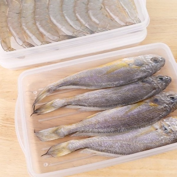 【寶寶王國】日本製【SANADA】餃子保鮮盒 肉片保鮮盒 食材保鮮盒-細節圖7