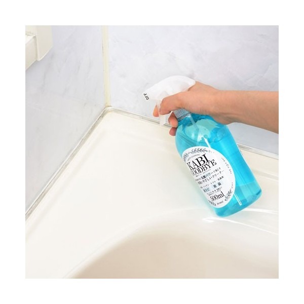 【寶寶王國】日本 Arnest 黴菌GOODBYE乳酸防霉除菌劑-細節圖4