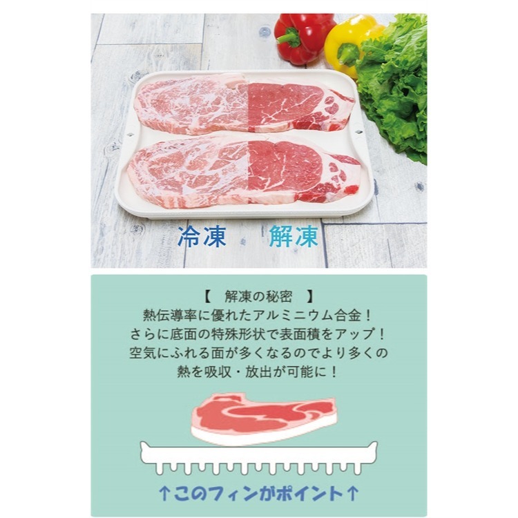 【寶寶王國】日本製【杉山金屬】鋁合金快速解凍盤(L) 急速解凍 散熱盤 退冰盤-細節圖2