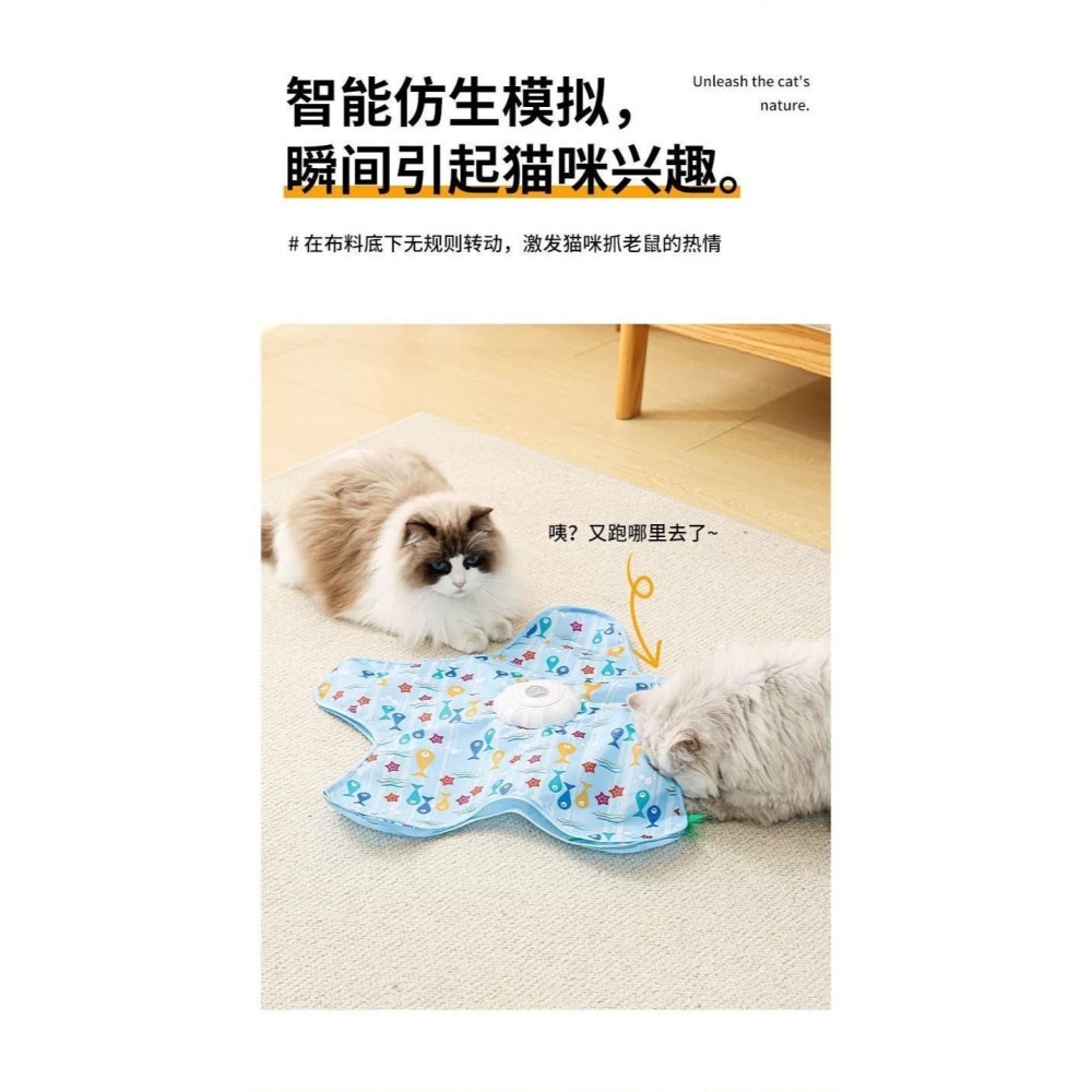 新款多功能貓咪捕獵游戲自動逗貓解悶互動玩具-細節圖10