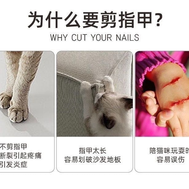 寵物指甲剪專用中型大型貓犬指甲鉗大號全鋼鋒利貓咪狗狗通用-細節圖3